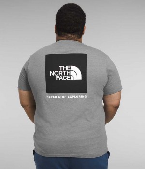 The North Face Big κοντο Sleeve Box NSE Μπλουζακι ανδρικα γκρι | GREECE FQRLWSK