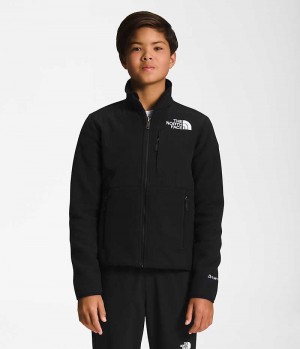 The North Face Denali Μπουφάν Fleece για αγορια μαυρα | GR IKOMCSE