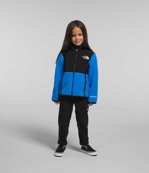 The North Face Denali Μπουφάν Fleece για κοριτσια μπλε | GR ZIYTSHB