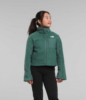 The North Face Fleece Mashup Μπουφάν Fleece για κοριτσια πρασινο | GR VCJBZTK