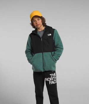 The North Face Forrest Full-Zip Κουκουλοφόρος Μπουφάν Fleece για αγορια πρασινο | GR QWPJZID