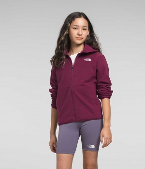 The North Face Glacier Full-Zip Κουκουλοφόρος Μπουφάν Fleece για κοριτσια κοκκινα | ATHENS YXONLAD