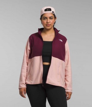 The North Face Plus Alpine Polartec® 100 Μπουφάν Fleece γυναικεια ροζ | ATHENS YBTWVEK