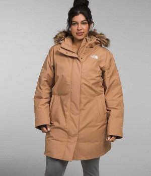 The North Face Plus Arctic Παρκα γυναικεια καφε | ATHENS LSBOHFN