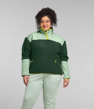 The North Face Plus Cragmont Fleece ¼-Snap Φουτερ γυναικεια πρασινο | GR GYZAFMH