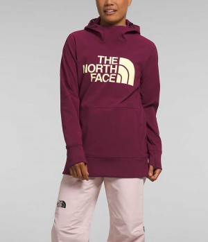 The North Face Tekno Pullover Φουτερ με Κουκουλα γυναικεια φουξια | GR EDNBAUS