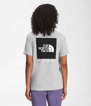 The North Face κοντο Sleeve Box NSE Μπλουζακι γυναικεια ανοιχτο γκρι | GREECE ULDOHWY