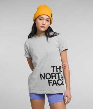 The North Face κοντο Sleeve Brand Proud Μπλουζακι γυναικεια ανοιχτο γκρι | GR MHRXCIN