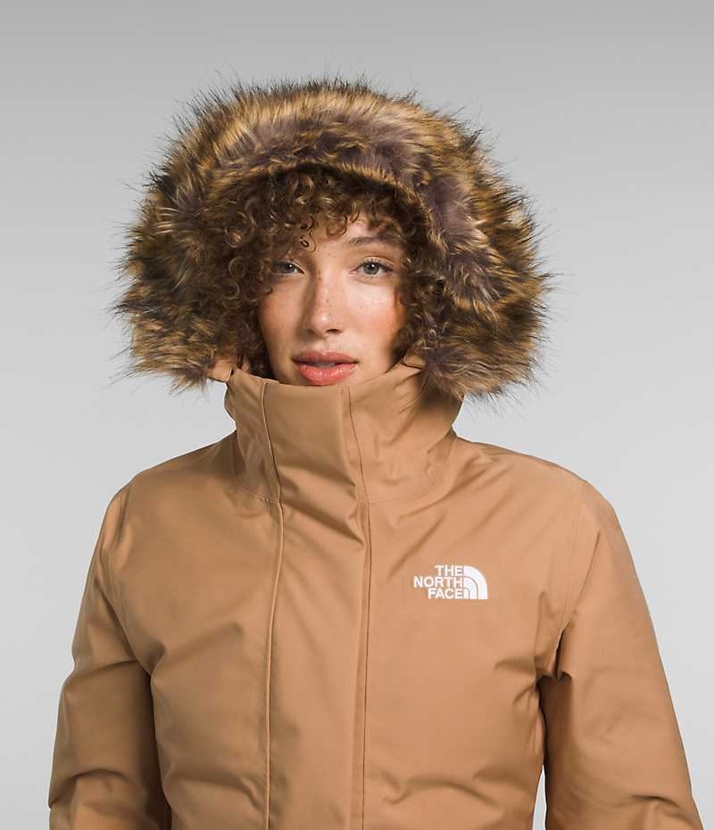 The North Face Arctic Παρκα γυναικεια καφε | GR YRGHAQI