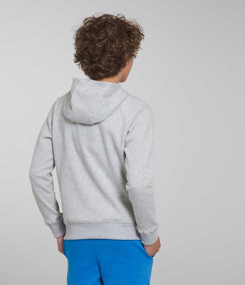 The North Face Camp Fleece Pullover Φουτερ με Κουκουλα για αγορια ανοιχτο γκρι | GREECE RZIJDOB