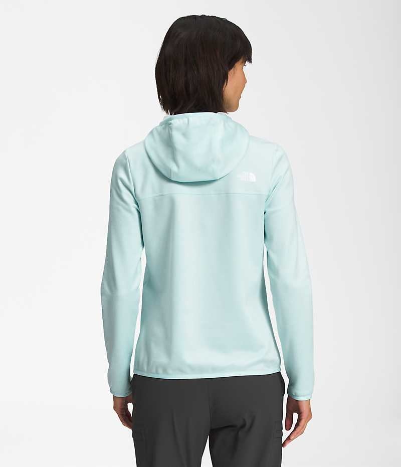 The North Face Canyonlands Hoodie Μπουφάν Fleece γυναικεια ανοιχτο μπλε | GR EIQOPNX