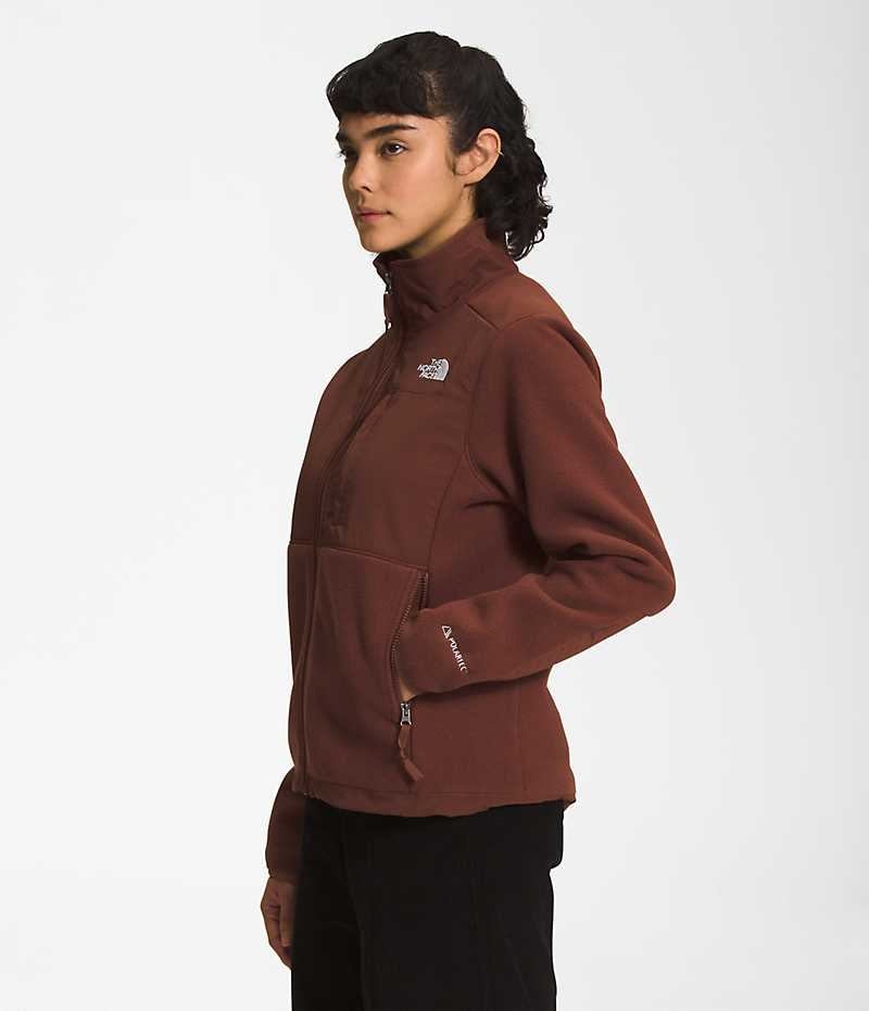 The North Face Denali Μπουφάν Fleece γυναικεια καφε | ATHENS QAECPNM