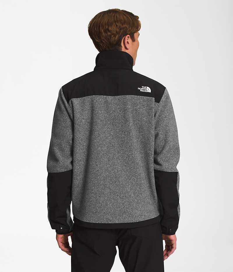 The North Face Denali Μπουφάν Fleece ανδρικα γκρι | GR DBIGUKF