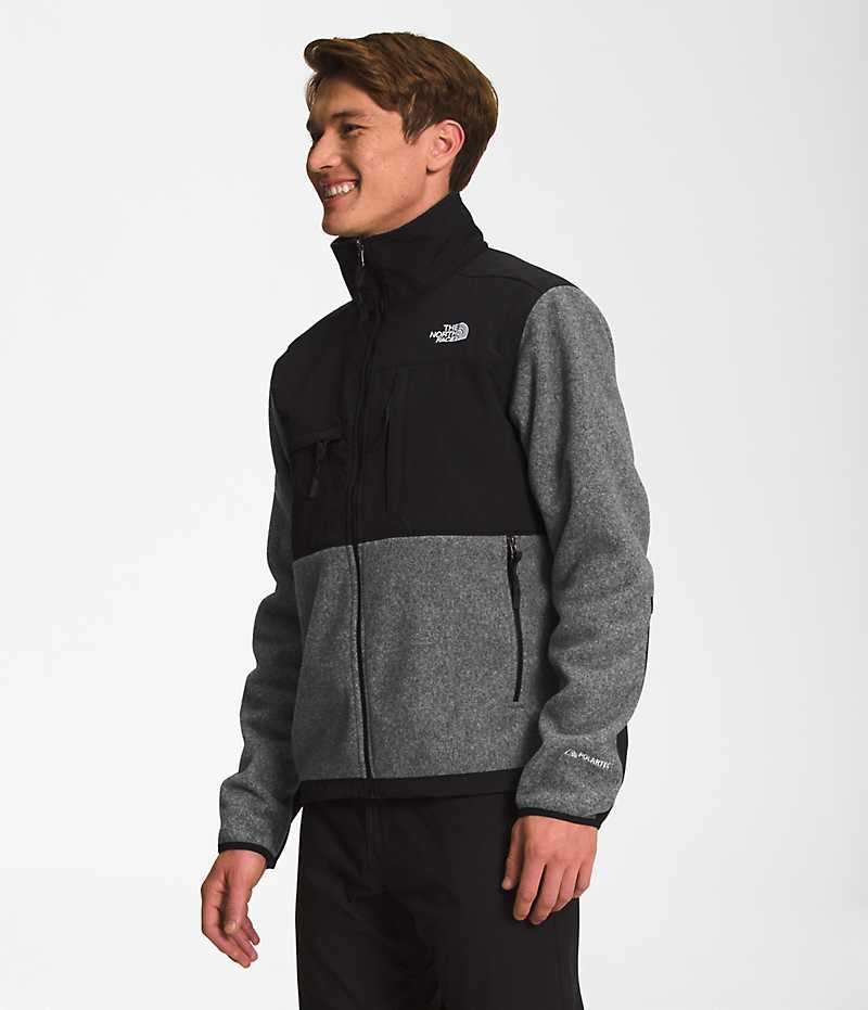 The North Face Denali Μπουφάν Fleece ανδρικα γκρι | GR DBIGUKF