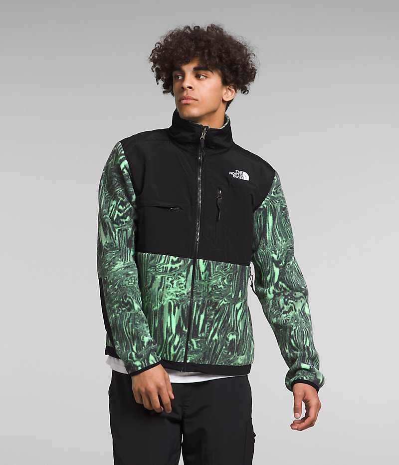 The North Face Denali Μπουφάν Fleece ανδρικα πρασινο μαυρα | GR RIESFHJ