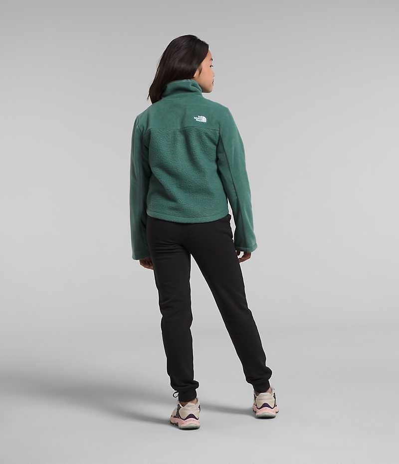 The North Face Fleece Mashup Μπουφάν Fleece για κοριτσια πρασινο | GR VCJBZTK