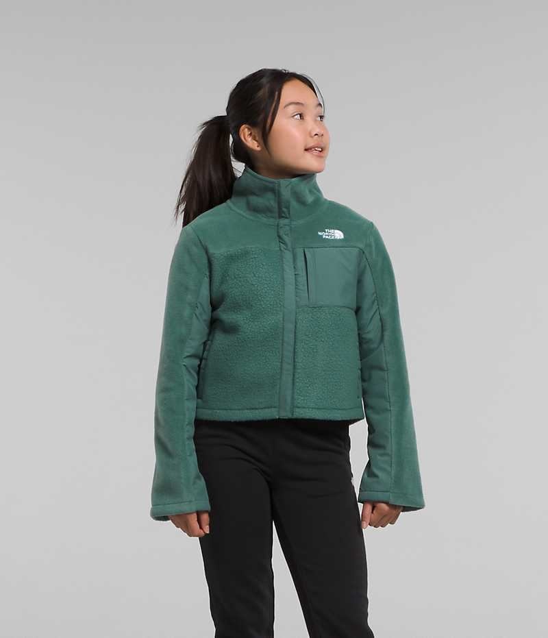 The North Face Fleece Mashup Μπουφάν Fleece για κοριτσια πρασινο | GR VCJBZTK