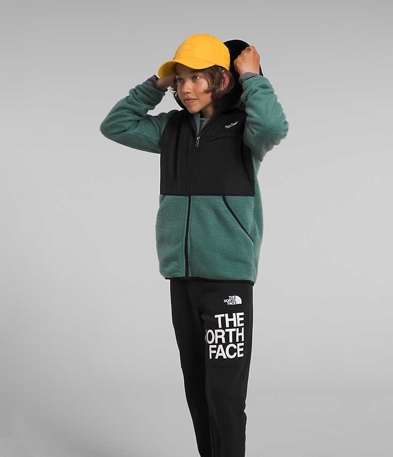 The North Face Forrest Full-Zip Κουκουλοφόρος Μπουφάν Fleece για αγορια πρασινο | GR QWPJZID