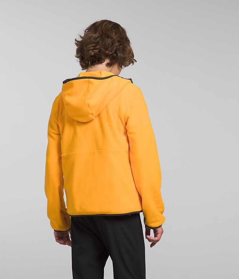 The North Face Glacier Full-Zip Κουκουλοφόρος Μπουφάν Fleece για αγορια χρυσο χρωμα | ATHENS YUKNXWB