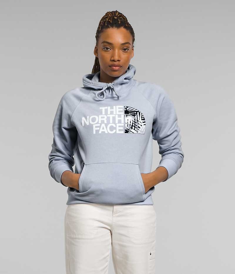 The North Face Half Dome Pullover Φουτερ με Κουκουλα γυναικεια μπλε | GREECE DIAEJSQ