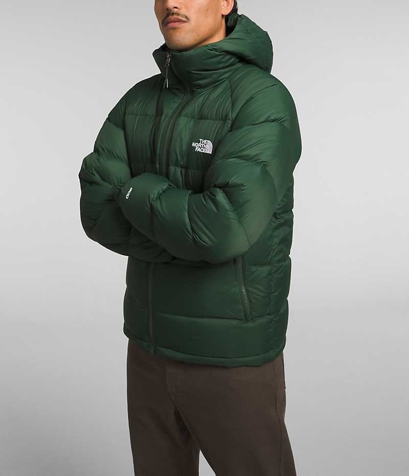 The North Face Hydrenalite™ Hoodie Μπουφαν Πουπουλενια ανδρικα πρασινο | ATHENS DTVQSGO