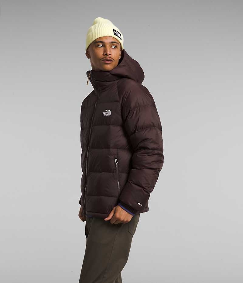 The North Face Hydrenalite™ Hoodie Μπουφαν Πουπουλενια ανδρικα μπορντο | GR EMBSVQU