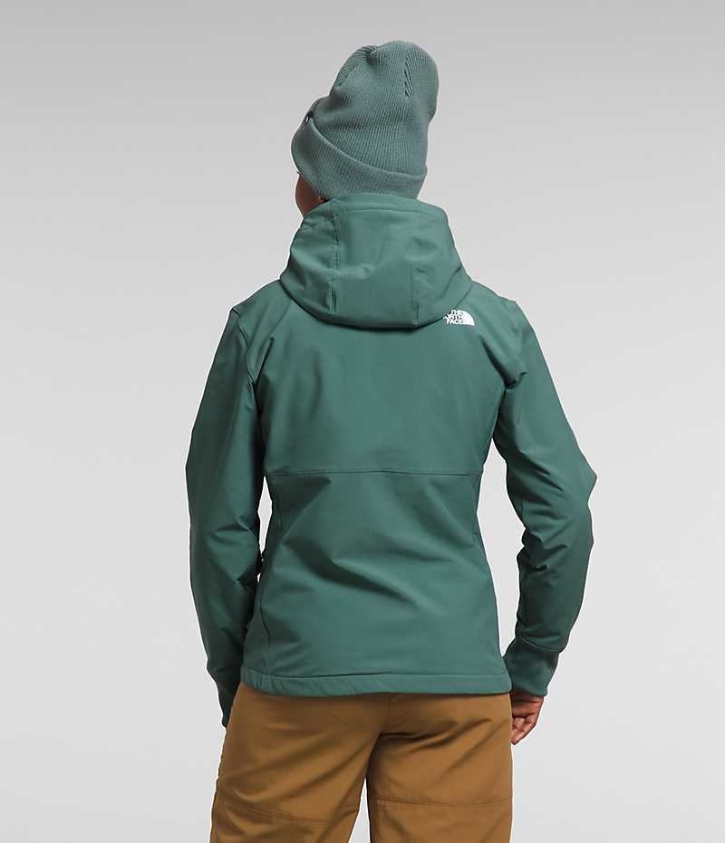 The North Face Shelbe Raschel Hoodie Softshell μπουφαν γυναικεια πρασινο | GR VERHWGJ