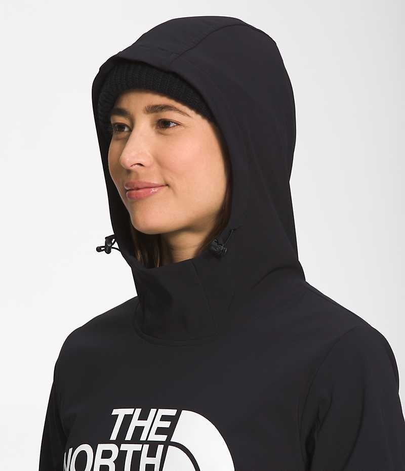 The North Face Tekno Pullover Φουτερ με Κουκουλα γυναικεια μαυρα | GREECE HVIPMQA